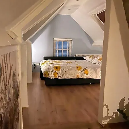 't Bakhuis