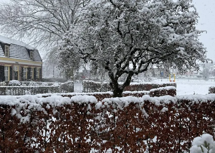 't Bakhuis Frühstückspension Oostelbeers